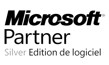 logo Microsoft Partner