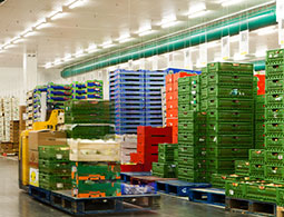 Food Storage Warehouse